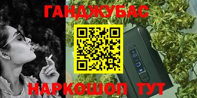 jwh Кингисепп