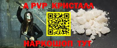 jwh Кингисепп