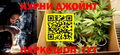 гашик Кинель