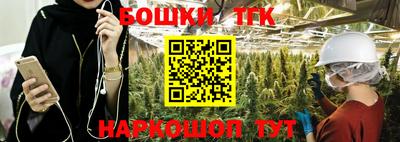 jwh Кингисепп