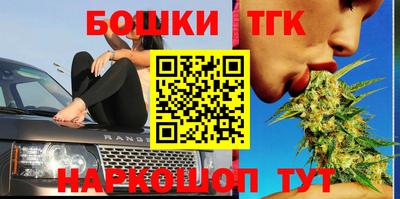 jwh Кингисепп