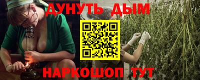 гашик Кинель