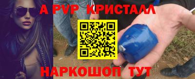 jwh Кингисепп