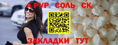 jwh Кингисепп