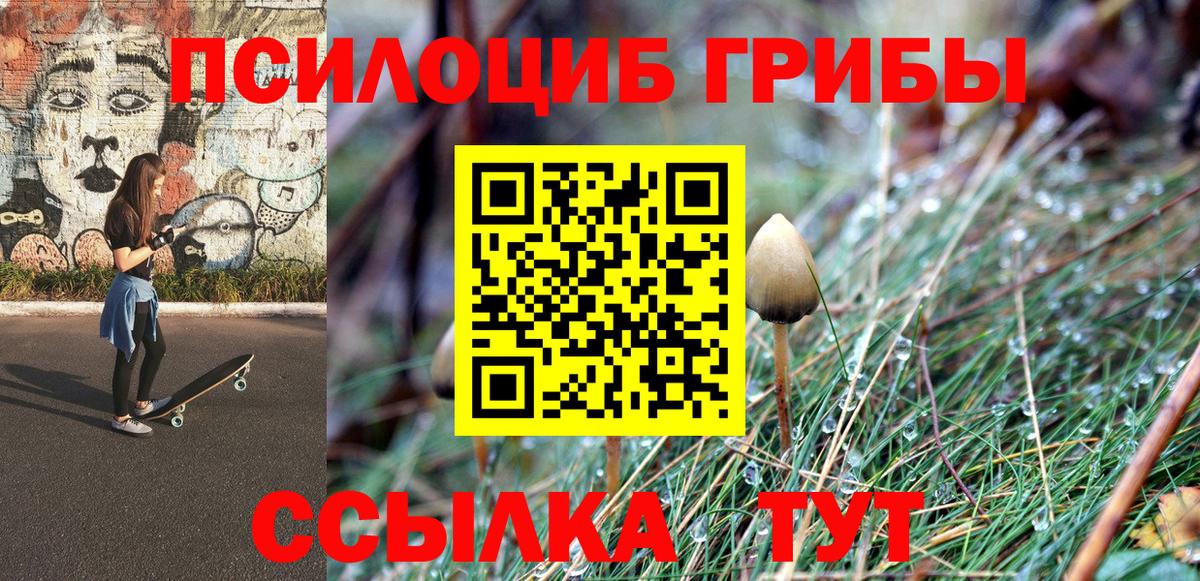 Истра  дарнет шоп  Вход с VPN  Галлюциногенные грибы Psilocybine cubensis 